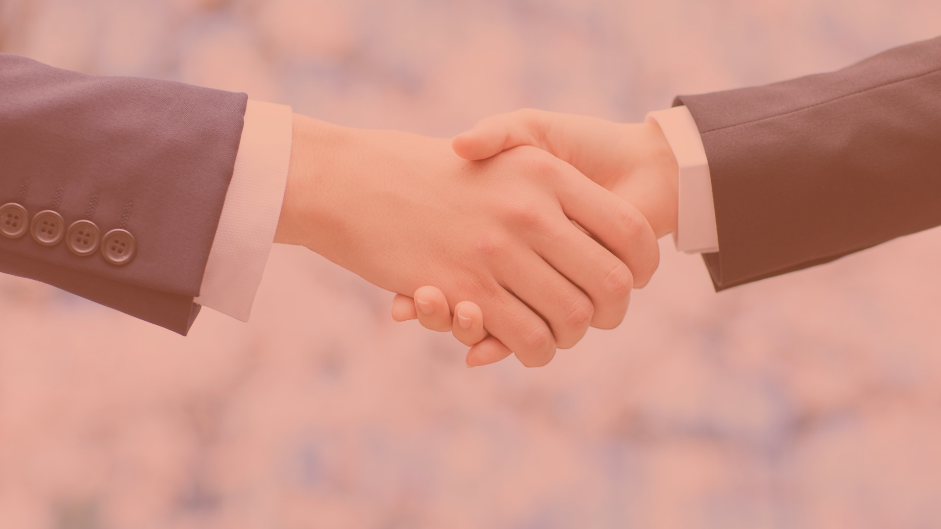 Smark e StarledNextQS